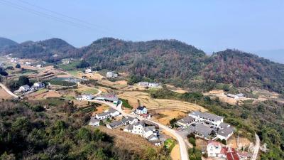 【好支部好支书】望洲坪村党总支书记汪功安：放权激活力 产业攥成链