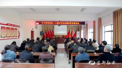 【学习贯彻党的二十届四中全会精神】王家畈镇召开学习贯彻党的二十届四中全会精神宣讲报告会