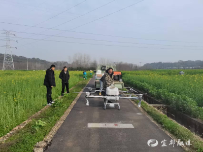 宜都植保工作获省级点赞