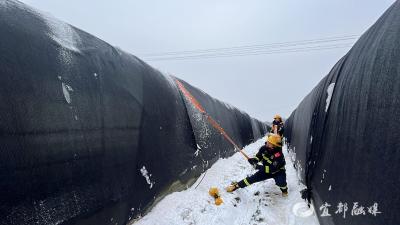 清雪保棚，守护村民“菜篮子”