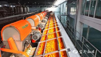 【实干勇争先 奋进开门红】订单排至7月！丰岛火力全开冲刺全年5亿目标