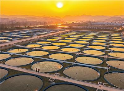 【人民日报】图片报道