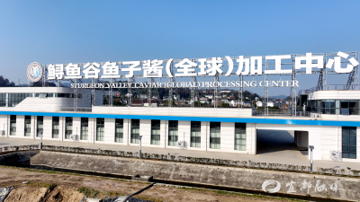 湖北宜都：清江鲟鱼谷新增442个标准化鱼池陆续投产