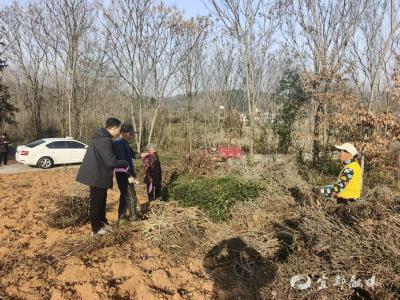 宜都三级联动织密防火网 高火险期实现全域“零火情”