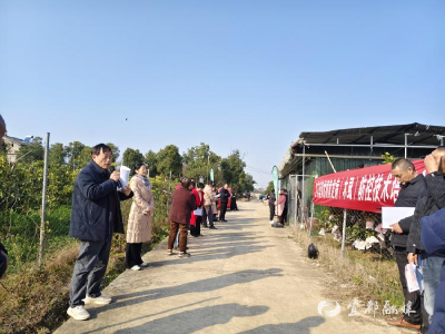 “打败”柑橘黄龙病！周家河村“开课”