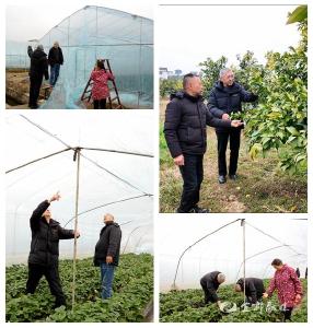 农技人员田间“开方”护航农作物安全生长