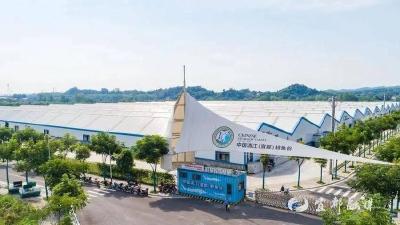 【湖北日报】宜昌市鲟鱼产业年产值破15亿元 生物储备量突破1.2万吨