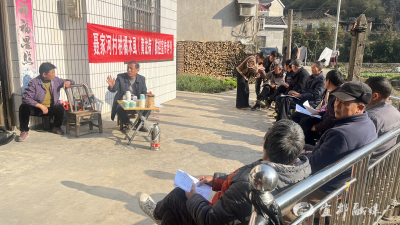 冬日橘园“战”木虱 守护橘农的“甜蜜希望”