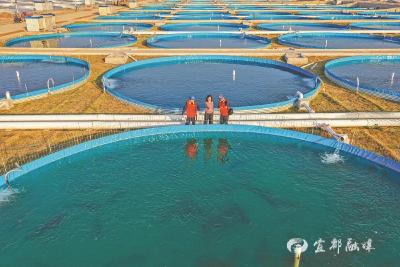 【国家电网报】服务鲟鱼产业园用电