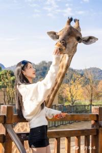 元旦躺平指南！住清江湾长颈鹿乐园，刮奖赢好礼～