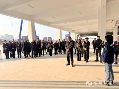 市人大代表开展集中视察活动