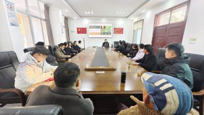 木虱怎么辨？用药怎么选？这场防控培训讲透彻