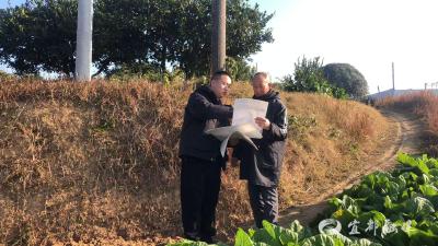 一张“明白卡”让柑橘管护不“糊涂”