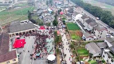 【网络中国节·春节】松木坪镇举办“归乡暖年·文明筑福”年货赶集活动