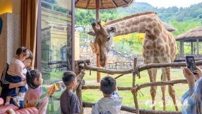 清江湾一日游攻略：解锁宜都 “动” 与 “静” 的双重快乐