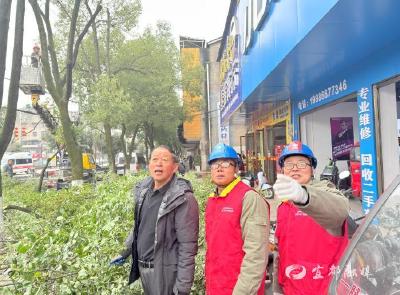 【中国新闻网】园林修剪换新颜 电力值守护安全