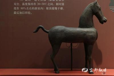 藏不住了！宜昌好多马……