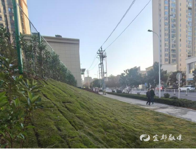 宜都“拆围透绿”：52处“遮丑”围挡清零 腾退城市空间2万余平方米