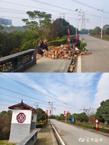 “五整四美”绘就美丽乡村新画卷