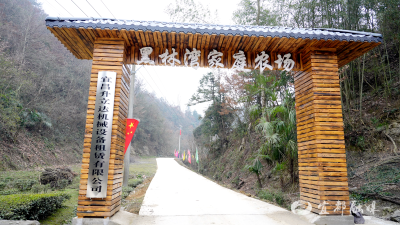 【宜业在乡】以商业智慧赋能乡村振兴 家门口蹚出“共富路”