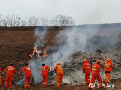 宜都市举行2026年森林防灭火培训暨实战演练