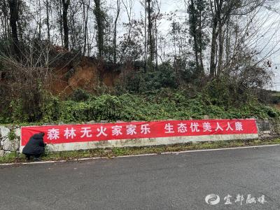 传防火之声，护家园之安