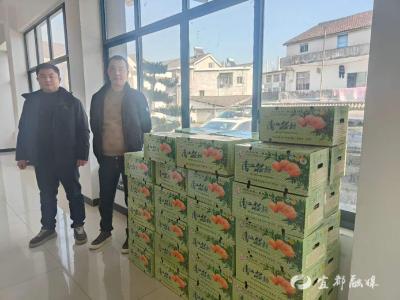 700斤椪柑暖乡亲