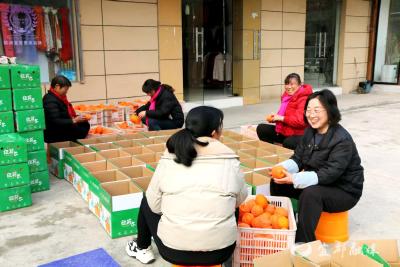 宜都：“乡村橘子姐”的甜蜜旅“橙”