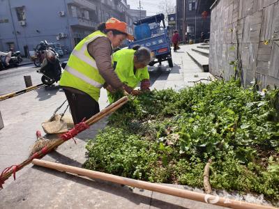 “净”化社区 “洁”尽全力