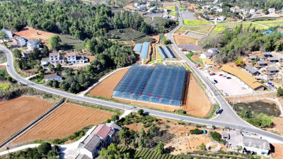 【宜业在乡】从都市灯火到田间“椒”响 段胜峰的“跨界”与“回归”
