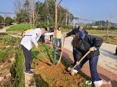 携手植新绿 共筑同心林