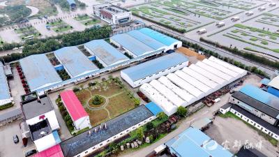 小菌菇撑起“致富伞”