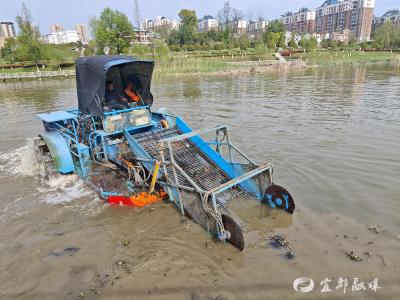 机械化清淤除杂，守护碧水清波