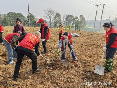 义务植树添新绿 共建幸福“水美家园”