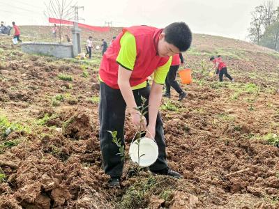 校社联动种新绿 