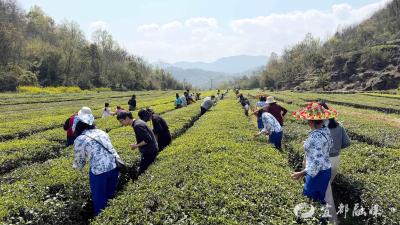 土家风情醉了车友团