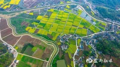 【湖北日报】育秧“流水线” 辣椒“坐电梯”——宜昌春耕春管“智”绘“丰”景