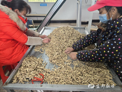 闲置资产“活”起来 集体经济“富”起来