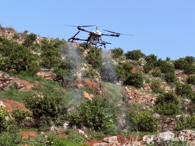 无人机“上岗”，柑橘木虱防治进入“快车道”