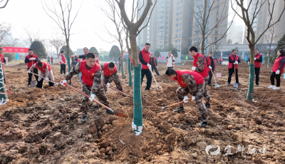 立下报国志，种下“从军梦”