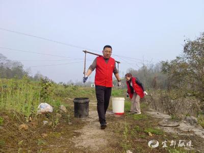 植橙添绿意 产业兴乡村