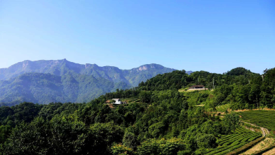 五眼泉所三举措助力全域土地综合整治项目落地