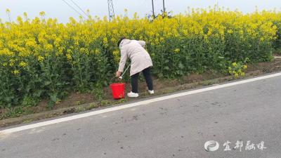 十分钟“微行动” 扮靓美丽乡村