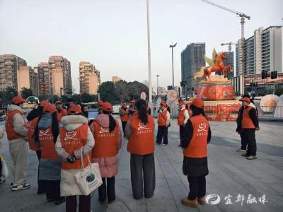 21天，300余名，时长近千小时：志愿微光点亮璀璨灯会