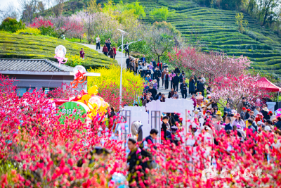 多图直击！宜都“赏花”好热闹~
