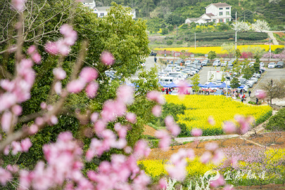 明天，一起去架锅山村“花”式打卡