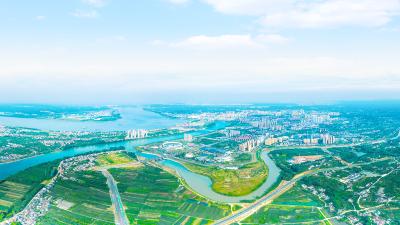 东湖评论：让统战力量成为乡村振兴的“硬核引擎”