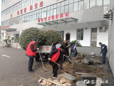 花木“搬家”添新绿 银发志愿暖家园