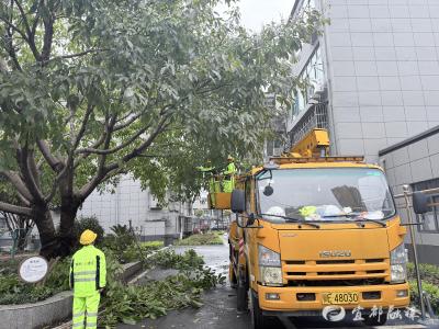 修枝护绿解隐患