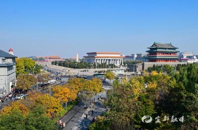 学习进行时丨从总书记的两会故事领悟正确政绩观